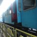 tren tren
