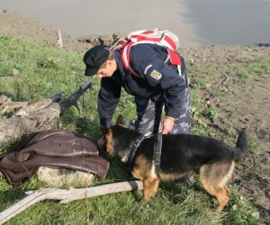 Agentul Sorin Şovan şi câinele său Lof