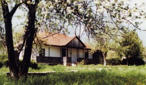 casa memoriala george enescu liveni