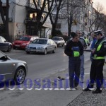 accident octav onicescu