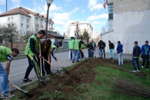 actiune ecologizare