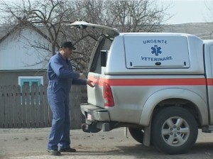 ambulanta veterinara2