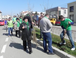 plantare copaci Miscarea pentru Botosani