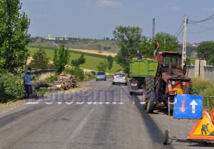 taierea copacilor de pe drumul botosani- suceava