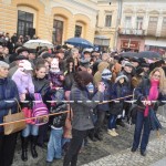 Ziua Nationala a Romaniei 2012 la Botosani