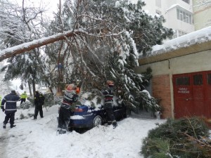 copac cazut peste masina Botosani