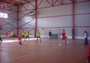 handbal baieti botosani