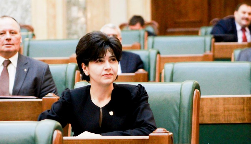 Doina Federovici in Parlament