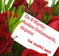 Felicitare de 8 Martie Dolineaschi