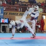 Camp. Nationale Brasov 2013 - taekwondo