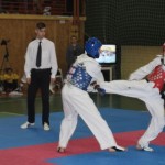 Camp. Nationale Brasov 2013 - taekwondo