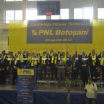 alegeri pnl 2013 1