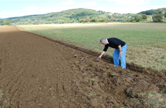 ferma vegetala multiagra Vlasinesti- Botosani