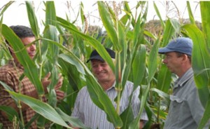 ferma vegetala multiagra Vlasinesti Botosani