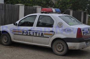 masina de politie rurala