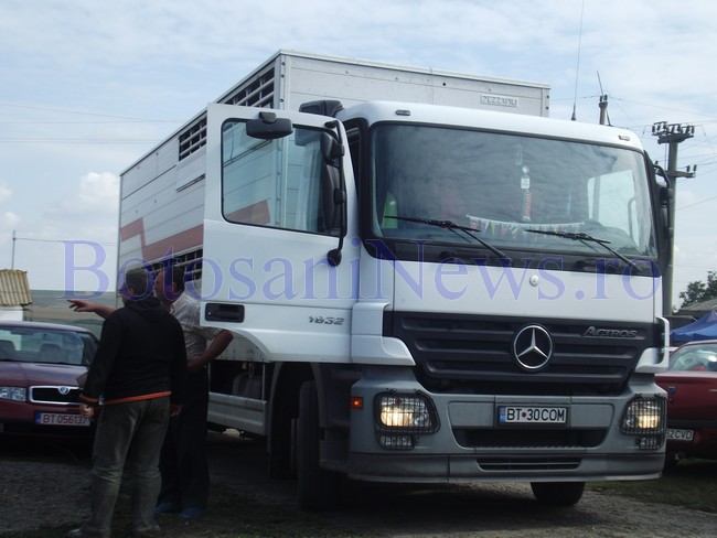 Camionul firmei C & C Company transportând oile lui Florea Ţurcanu la Agro Zoo