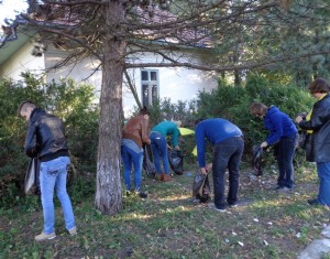 poze ecologizare TNL Botosani