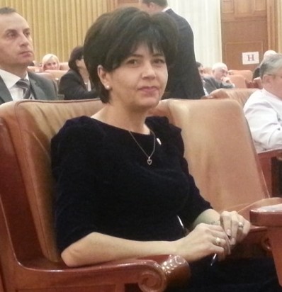 Doina Federovici in Senat