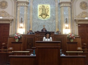 doina federovici parlament