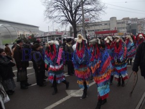 parada datini botosani19