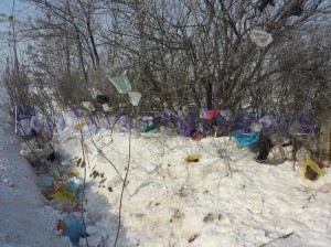 gunoaie pe gardurile caselor- Botosani 4