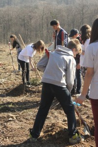 elevi de la Palatul Copiilor Botosani plantand copaci