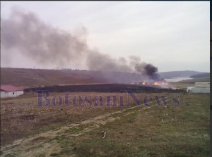 incendiu vegetatie botosani