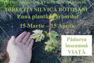 luna plantarii arborilor la Directia Silvica Botosani