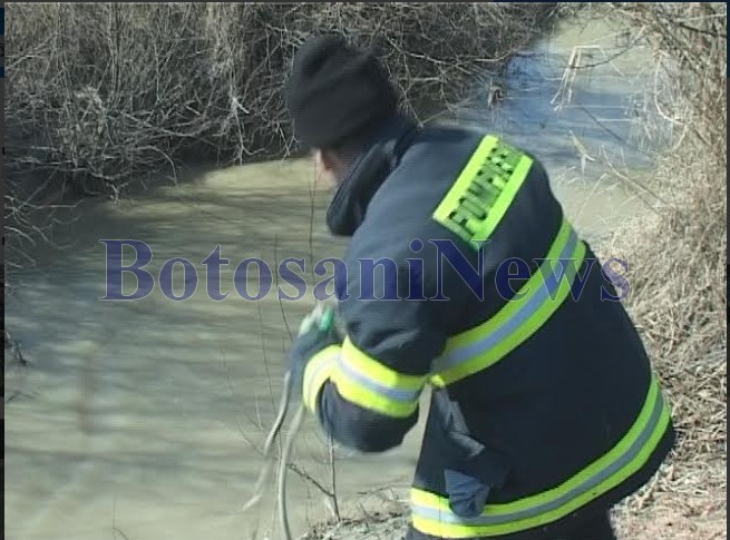 pompier, botosani, stiri, cautari inecat flamanzi