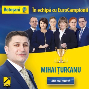 banner electoral europarlamentare PNL