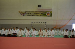 demonstratie de aikido la Botosani2