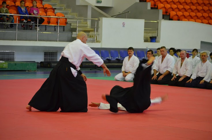 demonstratie de aikido la Botosani2