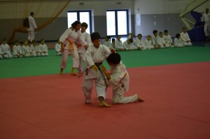 demonstratie de aikido la Botosani2