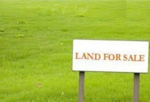 land for sale