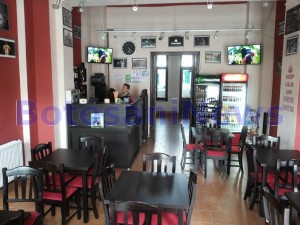 united arena pub botosani