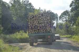 camion cu lemne padure botosani