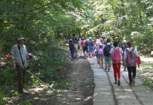 curatenie la Lacul cu nuferi din Ipotesti