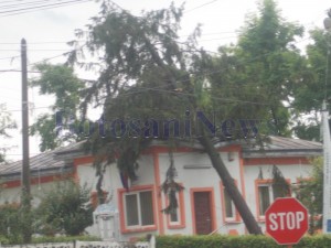 copac cazut peste postul de politie din Hanesti- Botosani