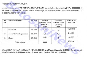 proiect Terra Constructii Botosani