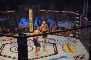 pitbul mma botosani1