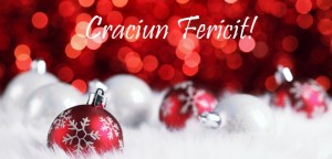 craciun fericit