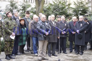 manifestari zi revolutie botosani4