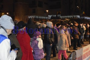 spectatori concert revelion botosani4