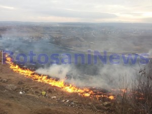 incendiu vegetatie