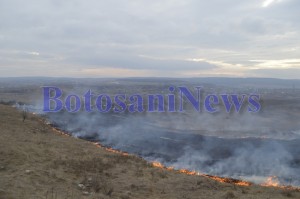 incendiu vegetatie botosani