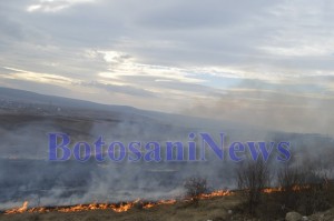 incendiu vegetatie botosani1