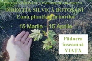 Luna plantarii arborilor la Botosani