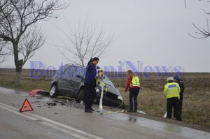 accident preot leorda botosani2