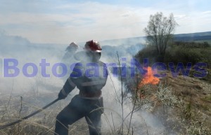 incendiu vegetatie la Botosani