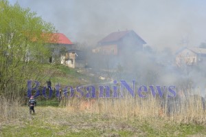 pomperi incendiu vegetatie stuf botosani